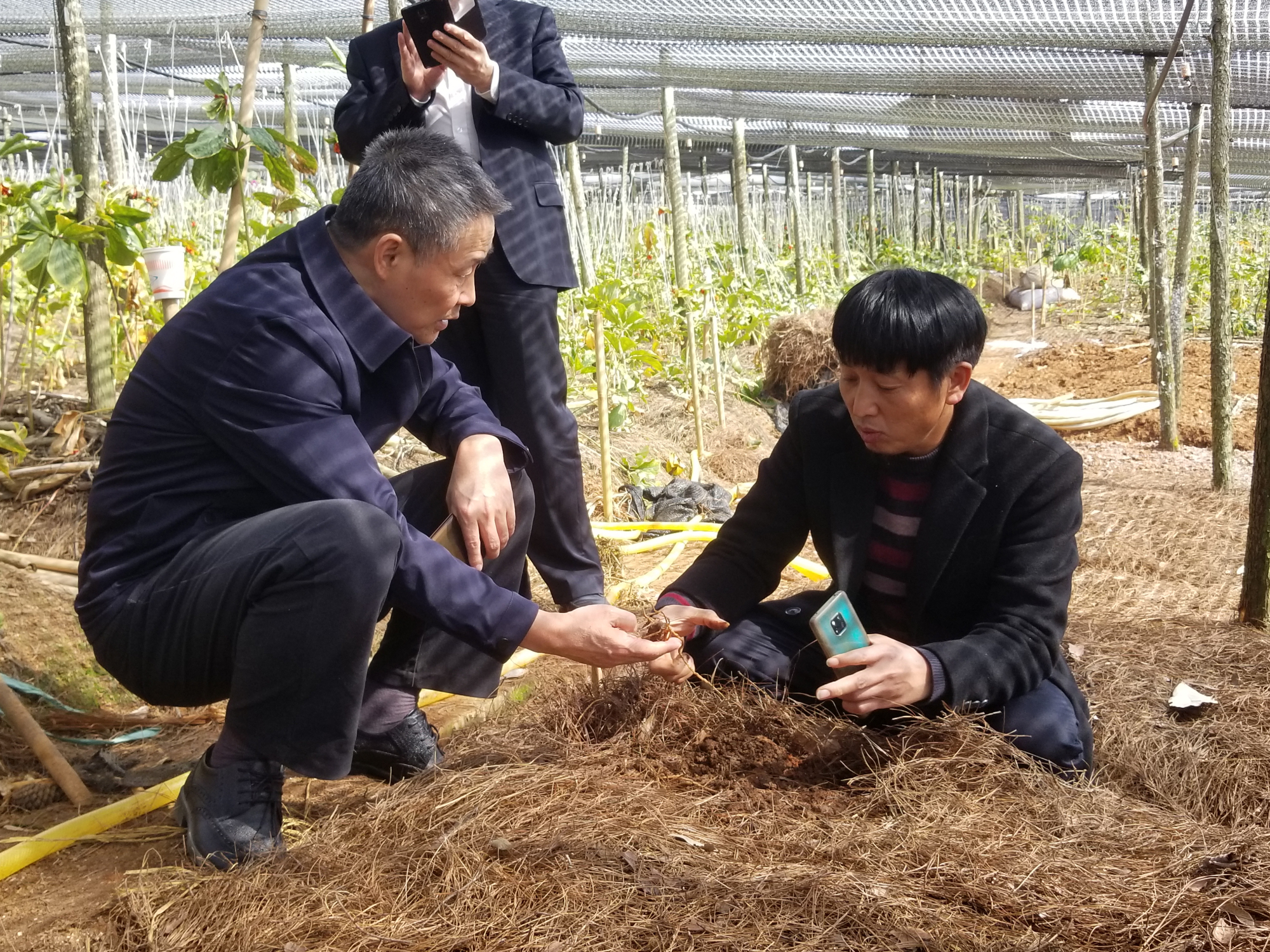 尊龙凯时人生就是搏(中国区)官方网站
