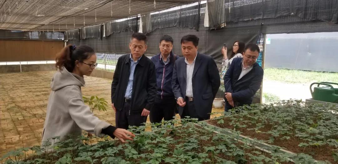 尊龙凯时人生就是搏(中国区)官方网站